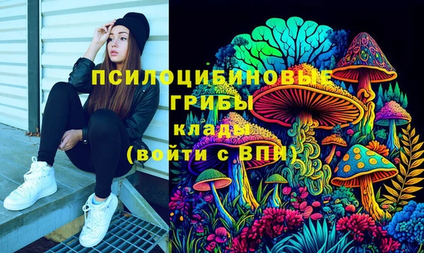 сатива Аркадак