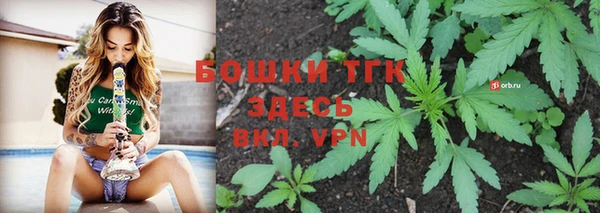 сатива Аркадак