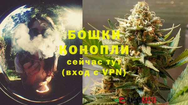 сатива Аркадак